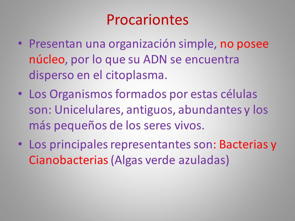 Procariontes Presentan una organización simple, no posee núcleo, por lo que su ADN se encuentra disperso en el citoplasma.