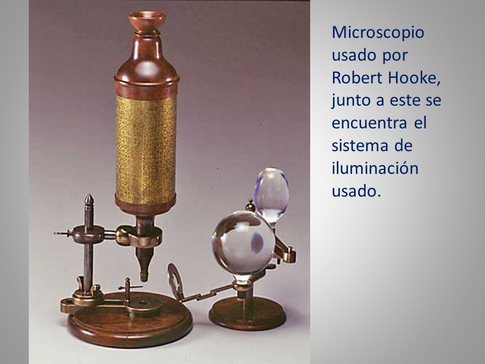 Microscopio usado por Robert Hooke, junto a este se encuentra el sistema de iluminación usado.