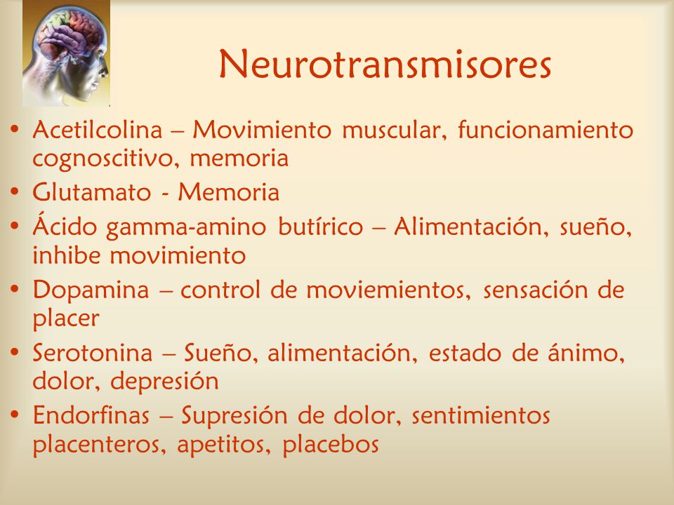 Neurotransmisores Acetilcolina – Movimiento muscular, funcionamiento cognoscitivo, memoria. Glutamato - Memoria.