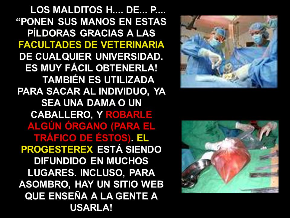 LOS MALDITOS H.... DE... P.... PONEN SUS MANOS EN ESTAS PÍLDORAS GRACIAS A LAS FACULTADES DE VETERINARIA DE CUALQUIER UNIVERSIDAD. ES MUY FÁCIL OBTENERLA!