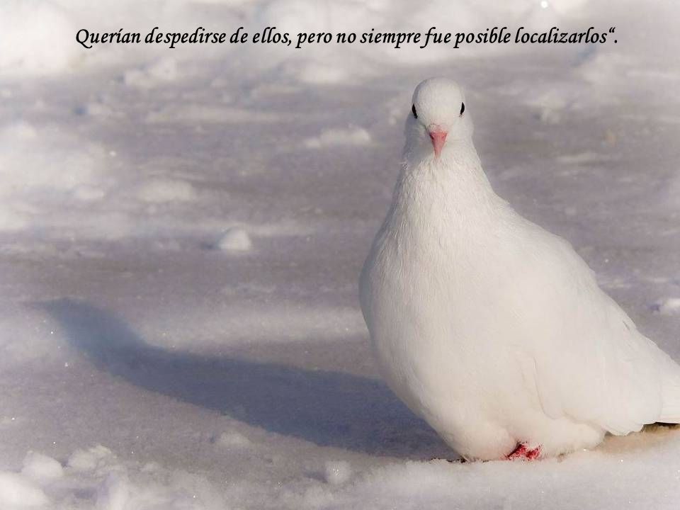Querían despedirse de ellos, pero no siempre fue posible localizarlos .