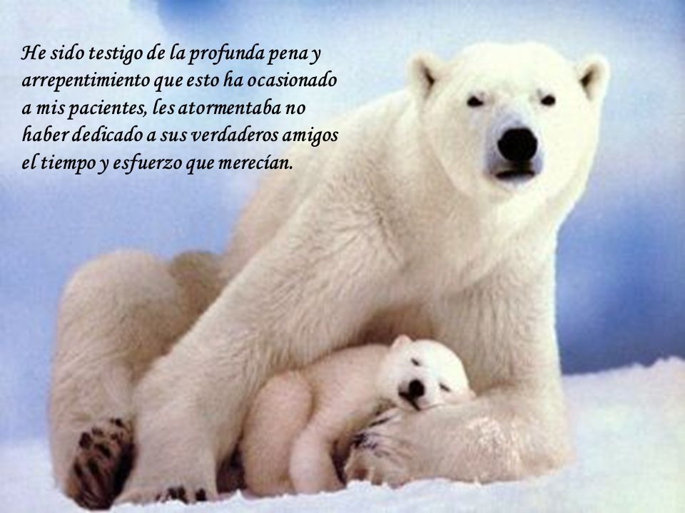 He sido testigo de la profunda pena y arrepentimiento que esto ha ocasionado a mis pacientes, les atormentaba no haber dedicado a sus verdaderos amigos el tiempo y esfuerzo que merecían.