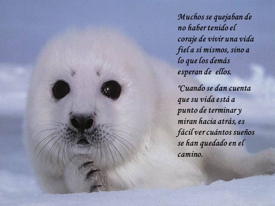 Muchos se quejaban de no haber tenido el coraje de vivir una vida fiel a sí mismos, sino a lo que los demás esperan de ellos.