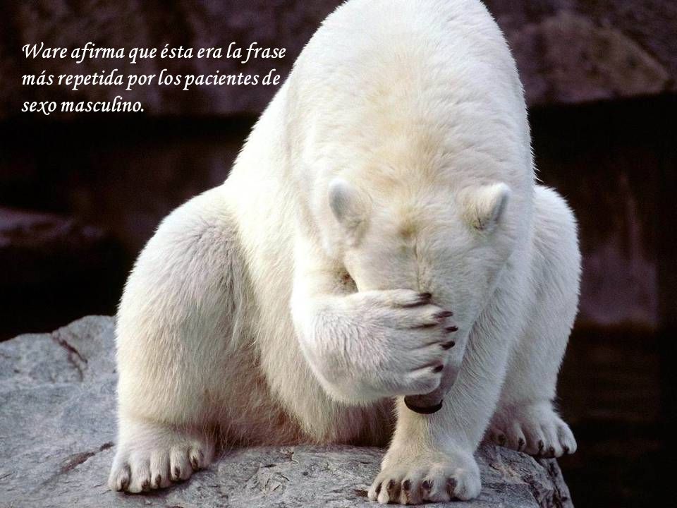 Ware afirma que ésta era la frase más repetida por los pacientes de sexo masculino.