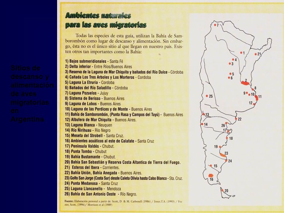 Sitios de descanso y alimentación de aves migratorias en Argentina.