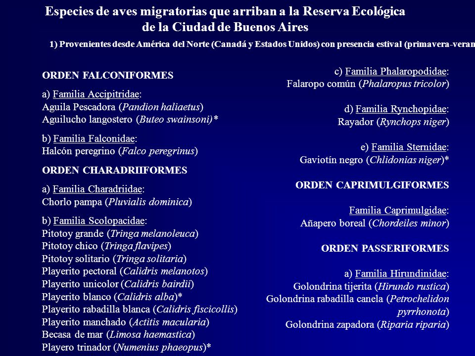 Especies de aves migratorias que arriban a la Reserva Ecológica de la Ciudad de Buenos Aires