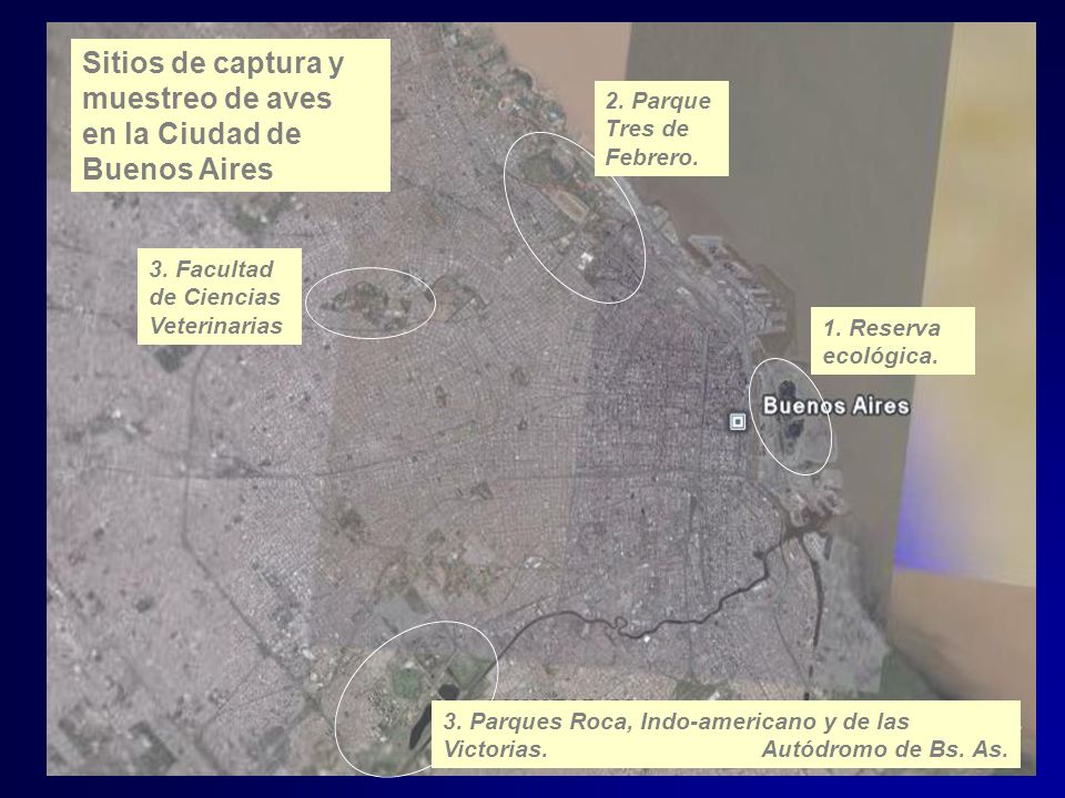 Sitios de captura y muestreo de aves en la Ciudad de Buenos Aires