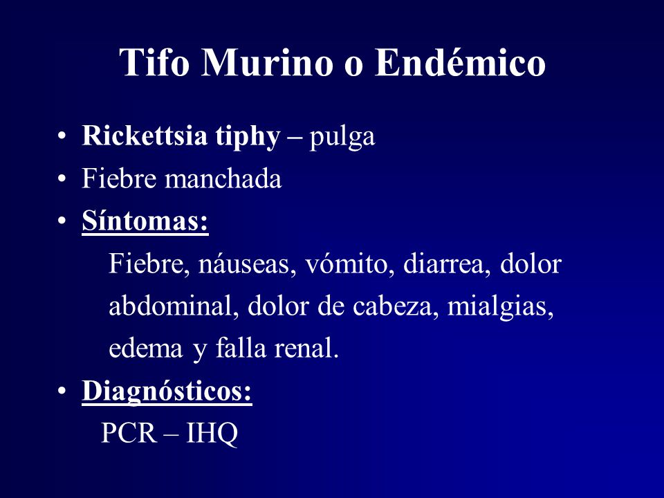 Tifo Murino o Endémico Rickettsia tiphy – pulga Fiebre manchada