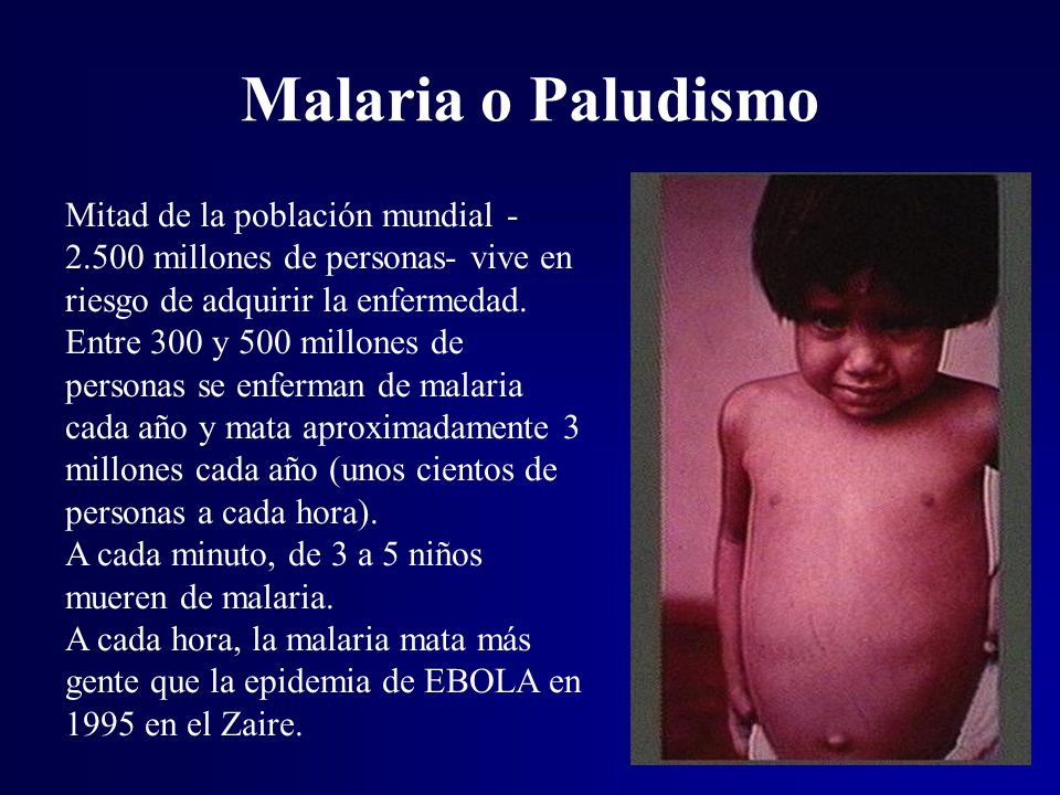 Malaria o Paludismo Mitad de la población mundial millones de personas- vive en riesgo de adquirir la enfermedad.