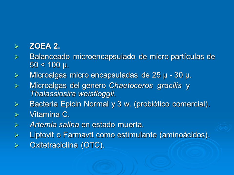 ZOEA 2. Balanceado microencapsuiado de micro partículas de 50 < 100 μ. Microalgas micro encapsuladas de 25 μ - 30 μ.