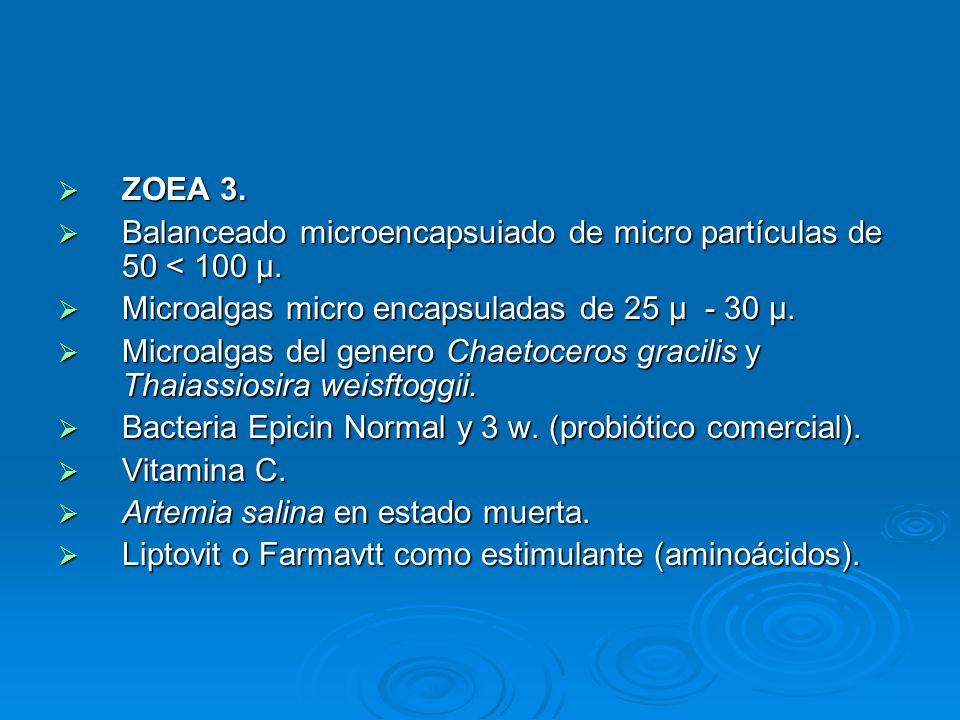 ZOEA 3. Balanceado microencapsuiado de micro partículas de 50 < 100 μ. Microalgas micro encapsuladas de 25 μ - 30 μ.