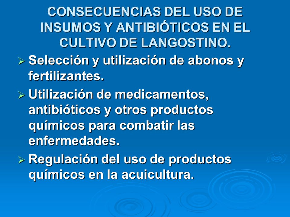 CONSECUENCIAS DEL USO DE INSUMOS Y ANTIBIÓTICOS EN EL CULTIVO DE LANGOSTINO.