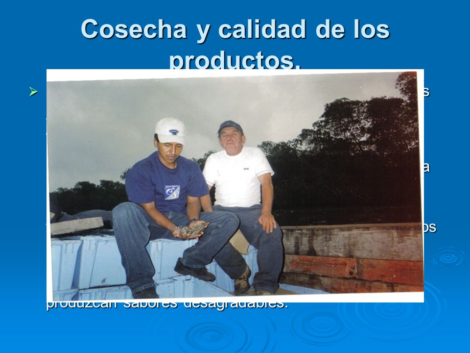 Cosecha y calidad de los productos.