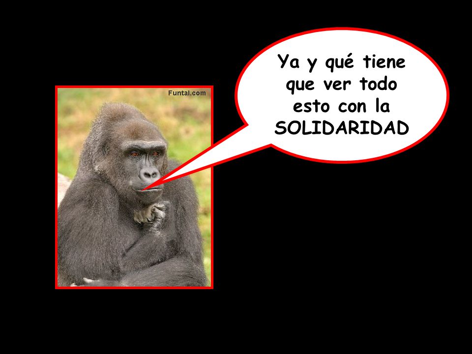 Ya y qué tiene que ver todo esto con la SOLIDARIDAD