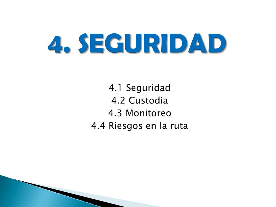 4.1 Seguridad 4.2 Custodia 4.3 Monitoreo 4.4 Riesgos en la ruta