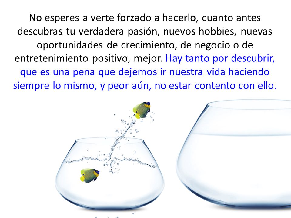 No esperes a verte forzado a hacerlo, cuanto antes descubras tu verdadera pasión, nuevos hobbies, nuevas oportunidades de crecimiento, de negocio o de entretenimiento positivo, mejor.