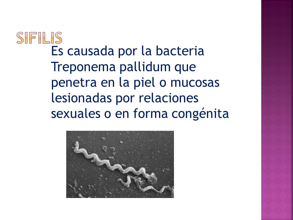 SIFILIS Es causada por la bacteria Treponema pallidum que penetra en la piel o mucosas lesionadas por relaciones sexuales o en forma congénita.