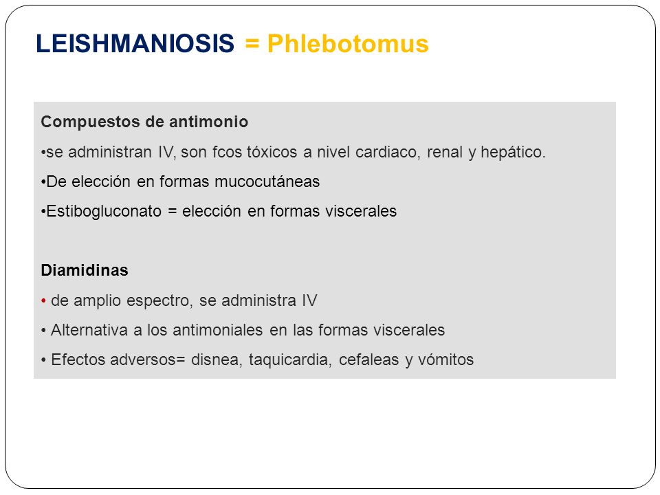 LEISHMANIOSIS = Phlebotomus