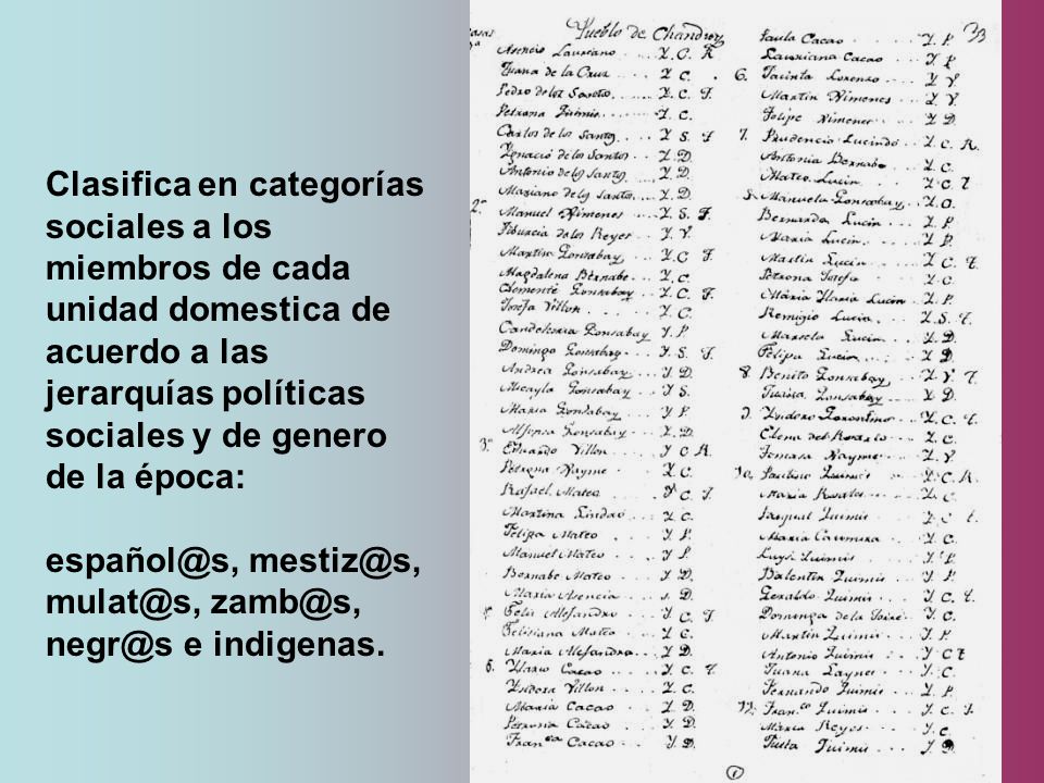 Clasifica en categorías sociales a los miembros de cada unidad domestica de acuerdo a las jerarquías políticas sociales y de genero de la época: