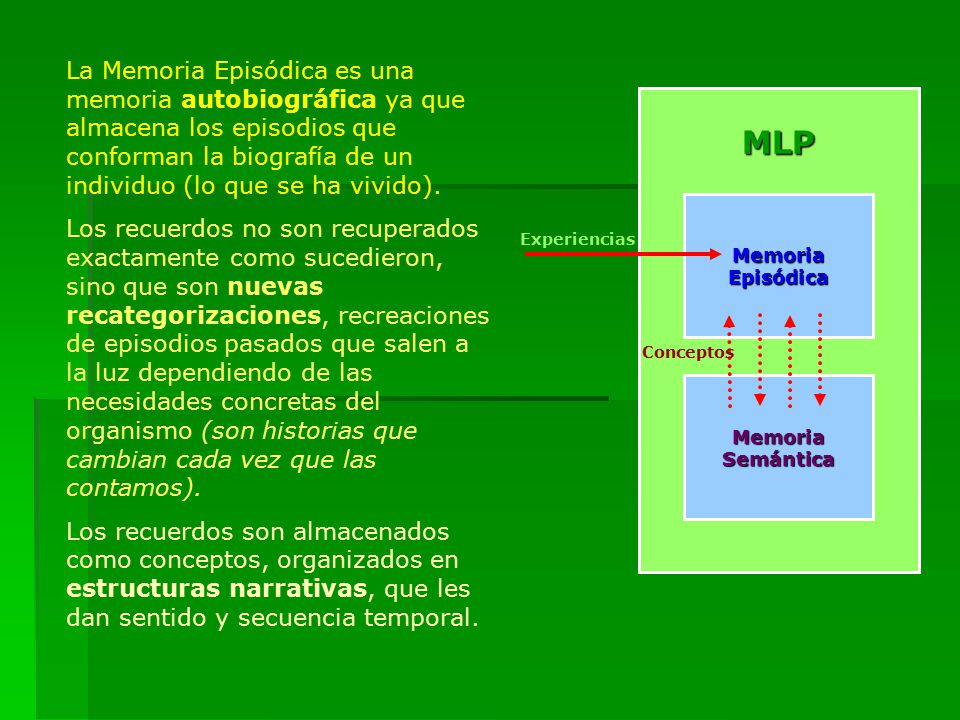 La Memoria Episódica es una memoria autobiográfica ya que almacena los episodios que conforman la biografía de un individuo (lo que se ha vivido).