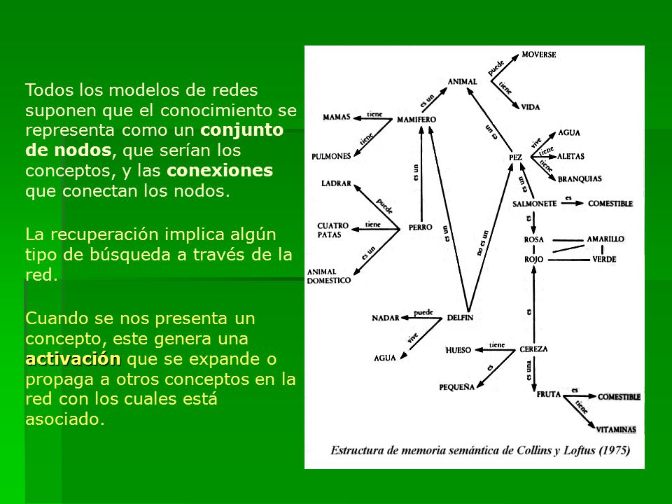 Todos los modelos de redes suponen que el conocimiento se representa como un conjunto de nodos, que serían los conceptos, y las conexiones que conectan los nodos.