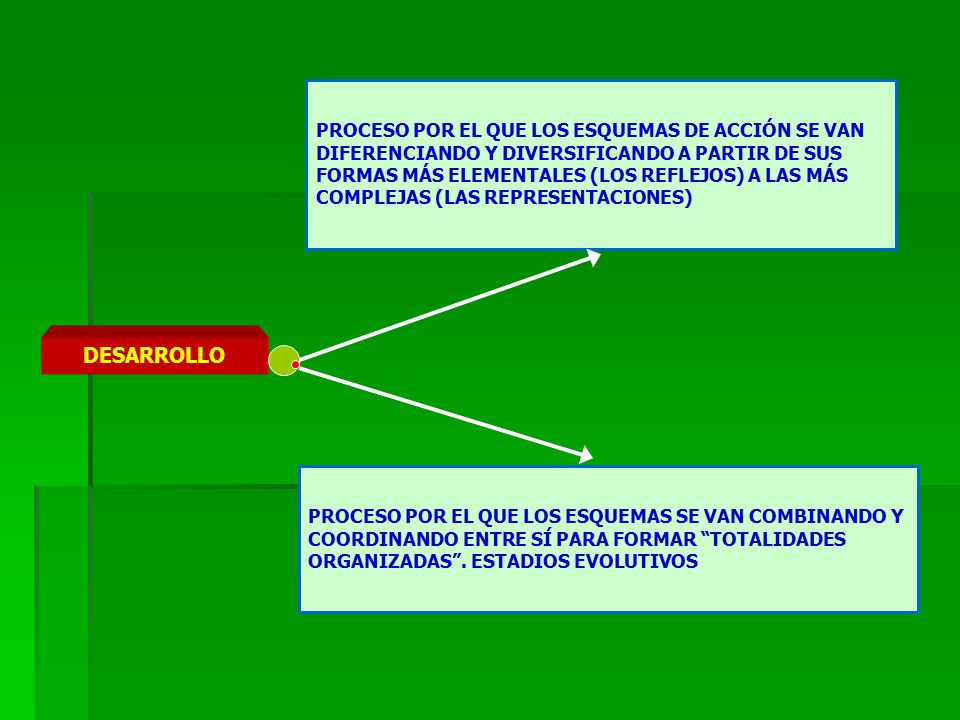 PROCESO POR EL QUE LOS ESQUEMAS DE ACCIÓN SE VAN DIFERENCIANDO Y DIVERSIFICANDO A PARTIR DE SUS FORMAS MÁS ELEMENTALES (LOS REFLEJOS) A LAS MÁS COMPLEJAS (LAS REPRESENTACIONES)