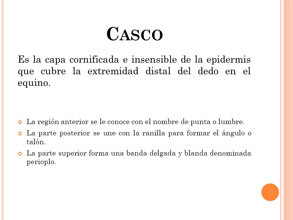 Casco Es la capa cornificada e insensible de la epidermis que cubre la extremidad distal del dedo en el equino.