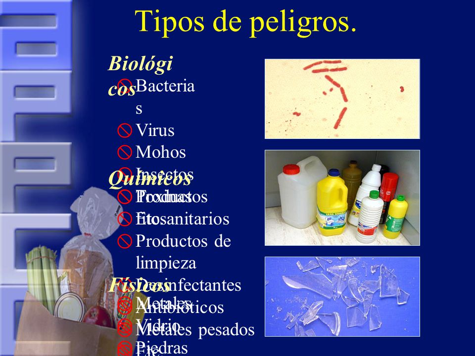 Tipos de peligros. Biológicos Químicos Físicos Bacterias Virus Mohos