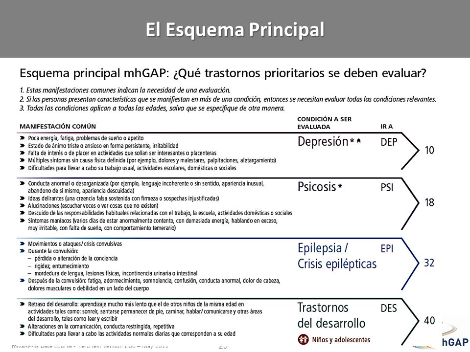 El Esquema Principal Pida a los participantes que luego pase a la página 10.