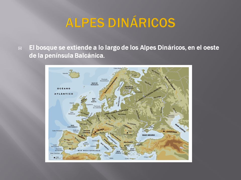 ALPES DINÁRICOS El bosque se extiende a lo largo de los Alpes Dináricos, en el oeste de la península Balcánica.