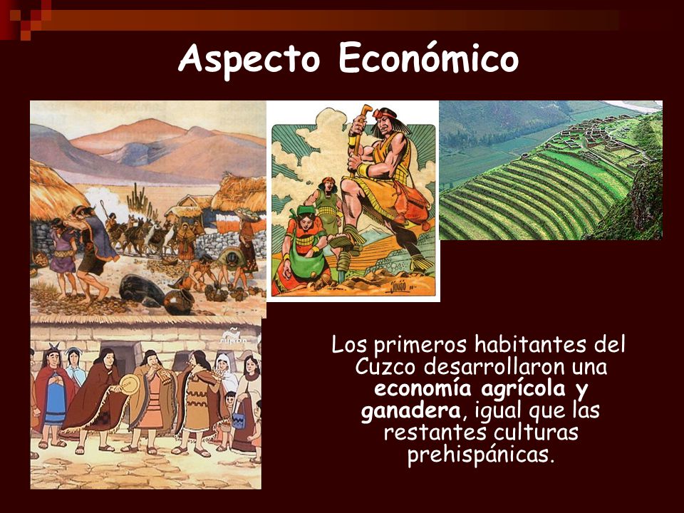 Aspecto Económico Los primeros habitantes del Cuzco desarrollaron una economía agrícola y ganadera, igual que las restantes culturas prehispánicas.