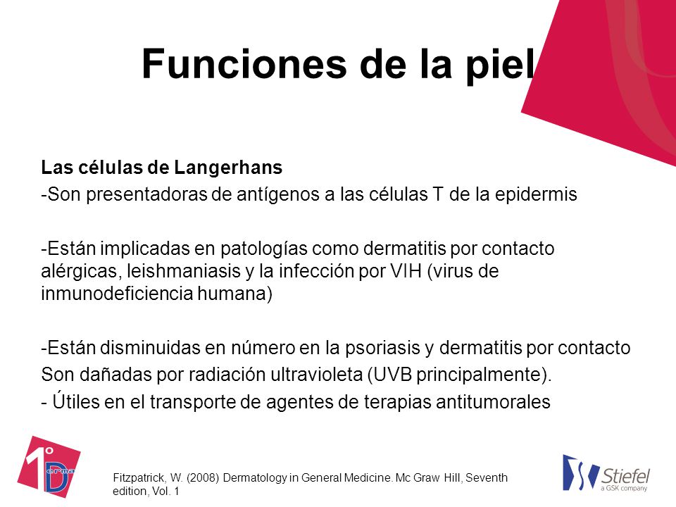 Funciones de la piel