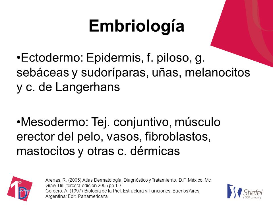 Embriología Ectodermo: Epidermis, f. piloso, g. sebáceas y sudoríparas, uñas, melanocitos y c. de Langerhans.