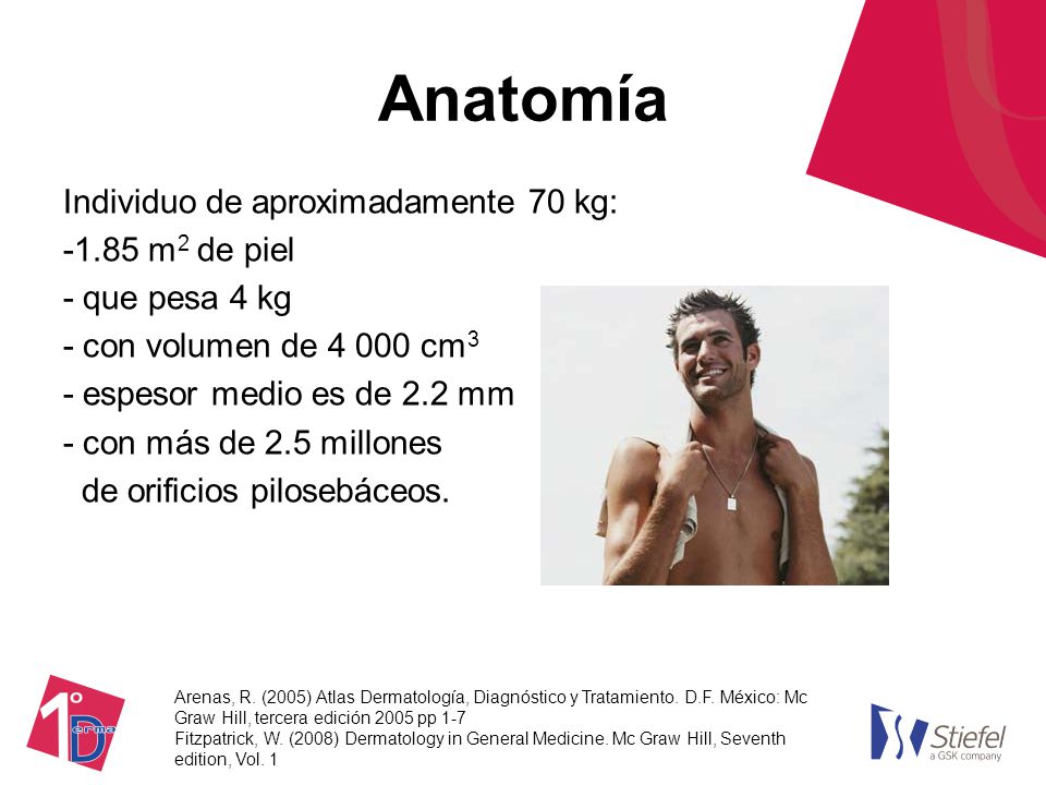 Anatomía Individuo de aproximadamente 70 kg: 1.85 m2 de piel