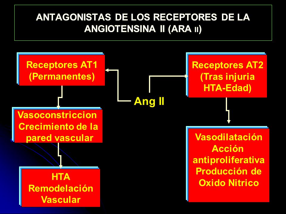 ANTAGONISTAS DE LOS RECEPTORES DE LA ANGIOTENSINA II (ARA II)