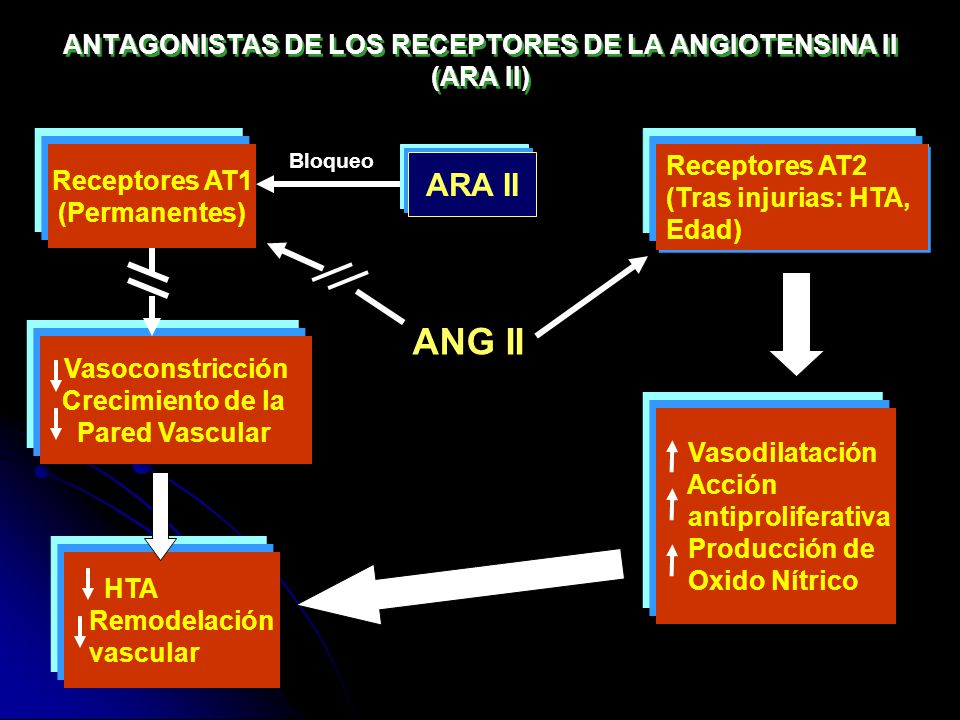 ANTAGONISTAS DE LOS RECEPTORES DE LA ANGIOTENSINA II (ARA II)