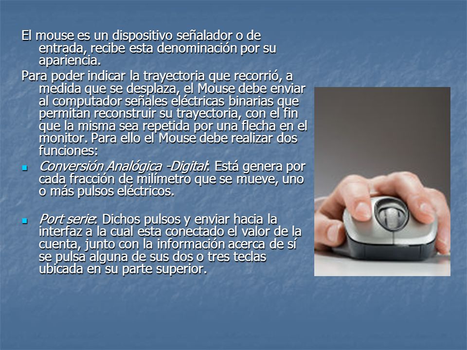El mouse es un dispositivo señalador o de entrada, recibe esta denominación por su apariencia.