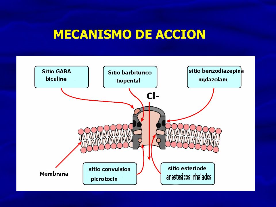 MECANISMO DE ACCION The GABAA-receptor–chloride ionophore sites of drug action.