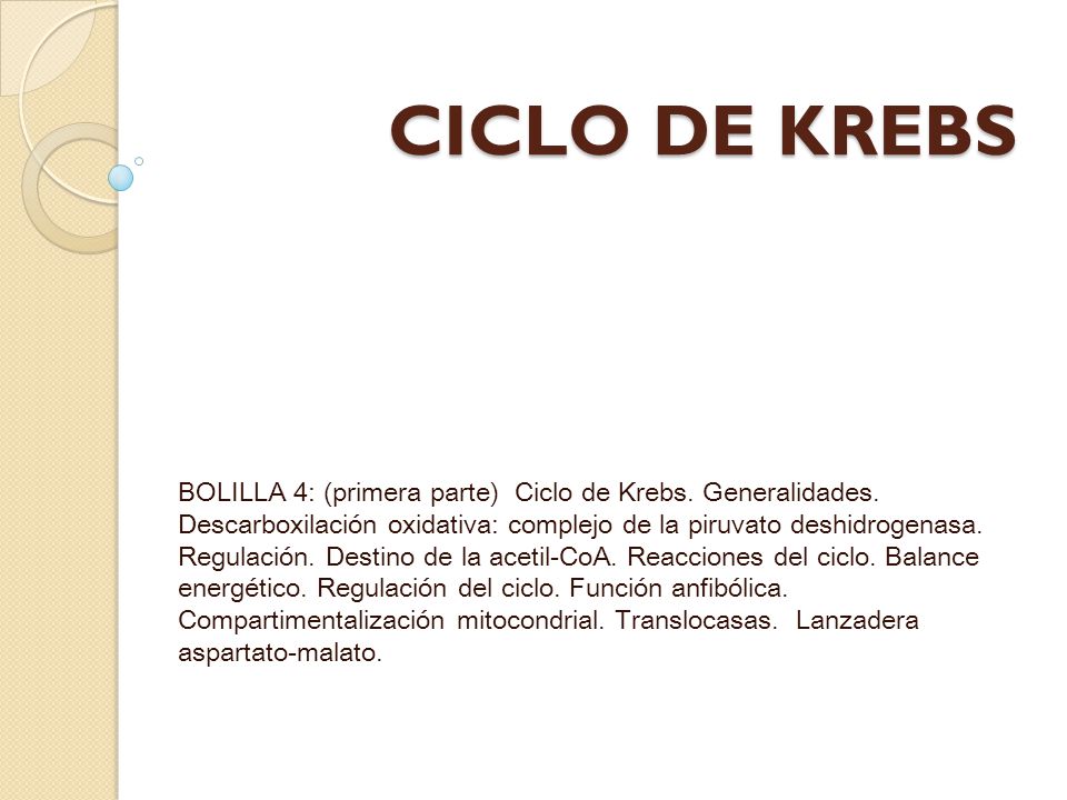 CICLO DE KREBS