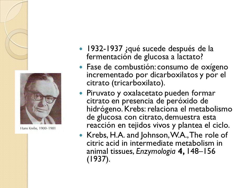 ¿qué sucede después de la fermentación de glucosa a lactato