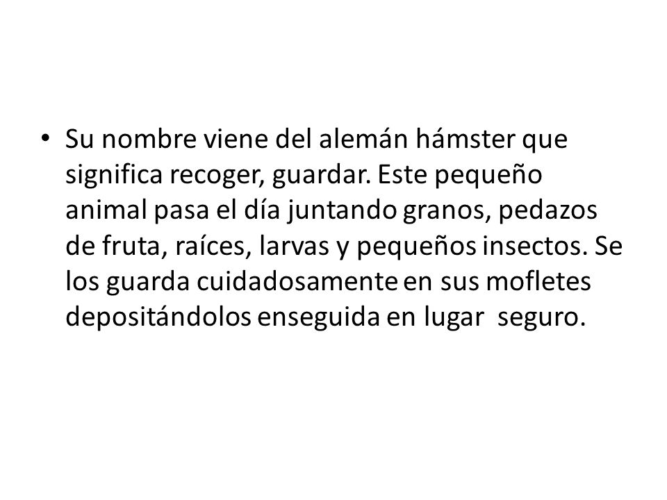 Su nombre viene del alemán hámster que significa recoger, guardar