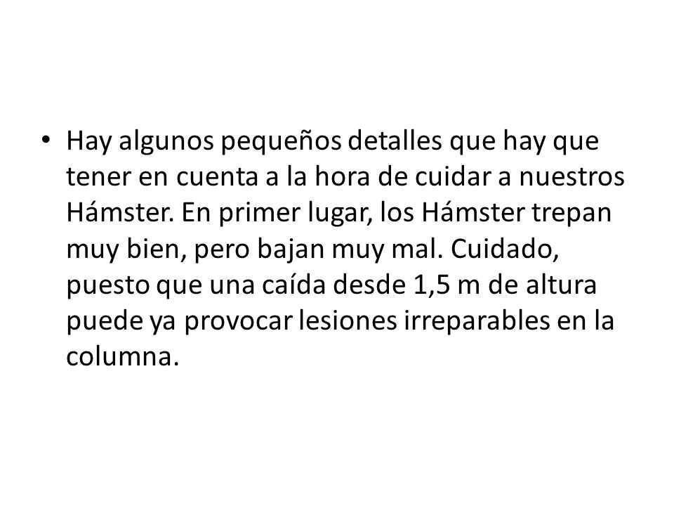 Hay algunos pequeños detalles que hay que tener en cuenta a la hora de cuidar a nuestros Hámster.
