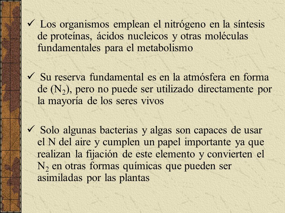 Los organismos emplean el nitrógeno en la síntesis de proteínas, ácidos nucleicos y otras moléculas fundamentales para el metabolismo