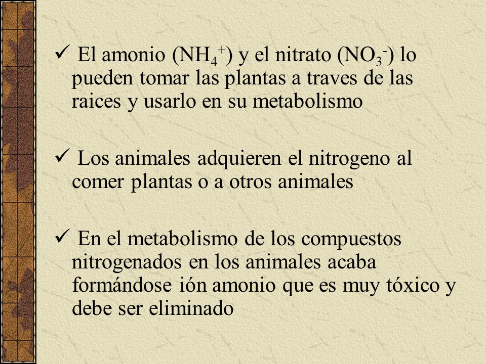 El amonio (NH4+) y el nitrato (NO3-) lo pueden tomar las plantas a traves de las raices y usarlo en su metabolismo