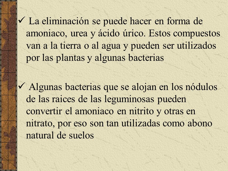La eliminación se puede hacer en forma de amoniaco, urea y ácido úrico