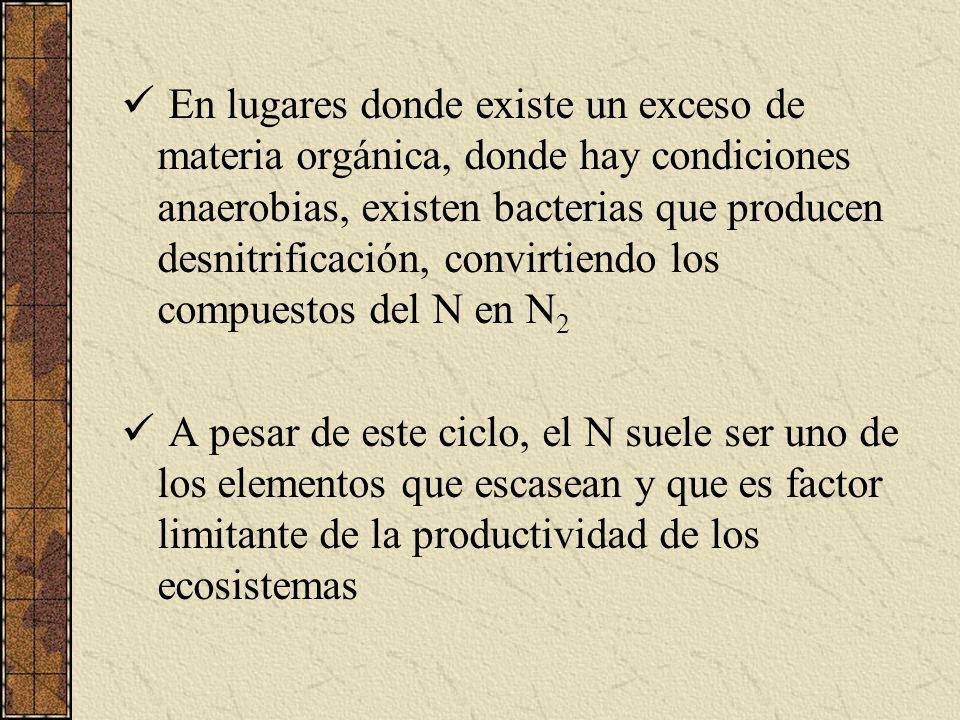 En lugares donde existe un exceso de materia orgánica, donde hay condiciones anaerobias, existen bacterias que producen desnitrificación, convirtiendo los compuestos del N en N2