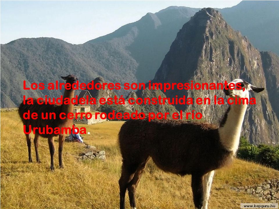 Los alrededores son impresionantes, la ciudadela está construida en la cima de un cerro rodeado por el río Urubamba.