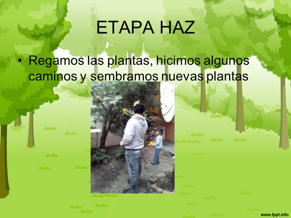ETAPA HAZ Regamos las plantas, hicimos algunos caminos y sembramos nuevas plantas