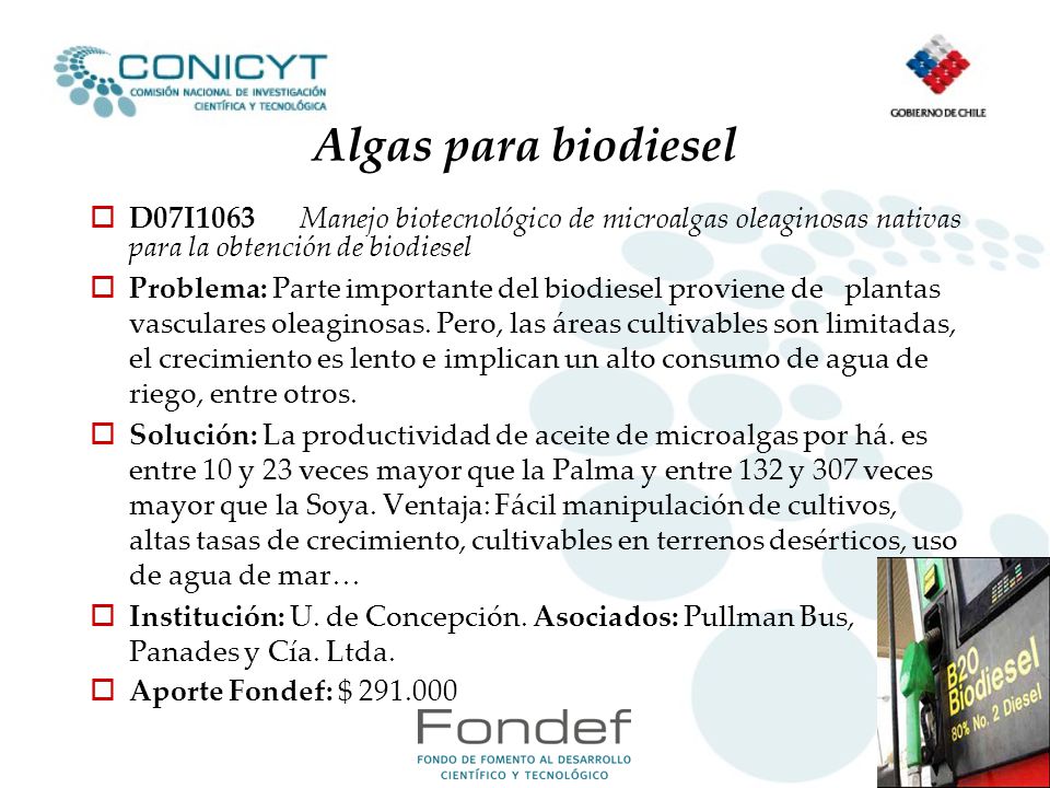 Algas para biodiesel D07I1063 Manejo biotecnológico de microalgas oleaginosas nativas para la obtención de biodiesel.