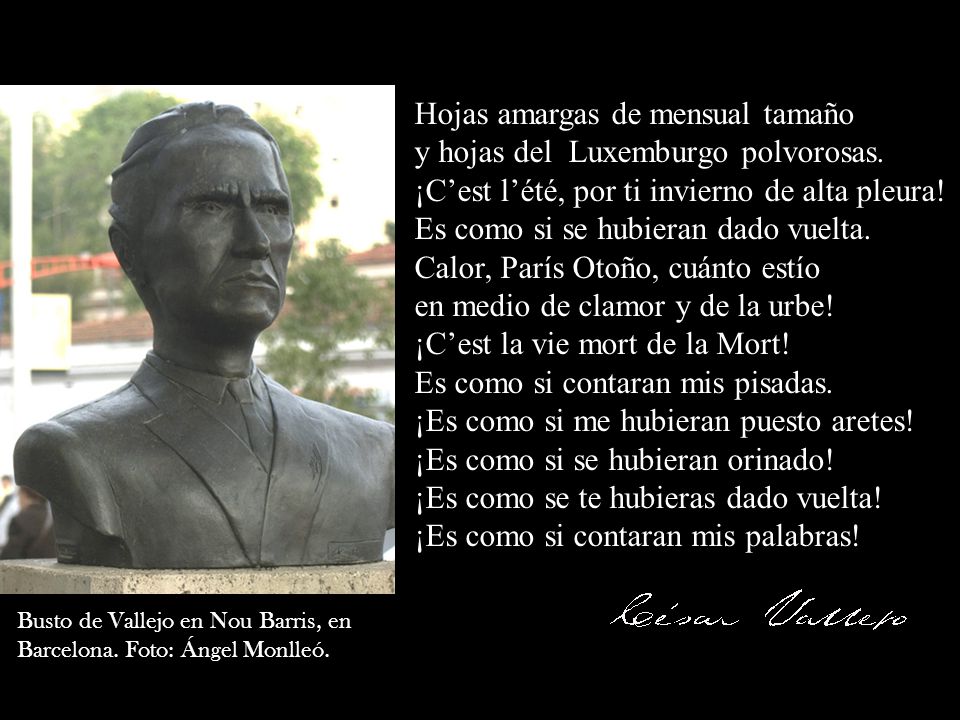 Hojas amargas de mensual tamaño y hojas del Luxemburgo polvorosas.
